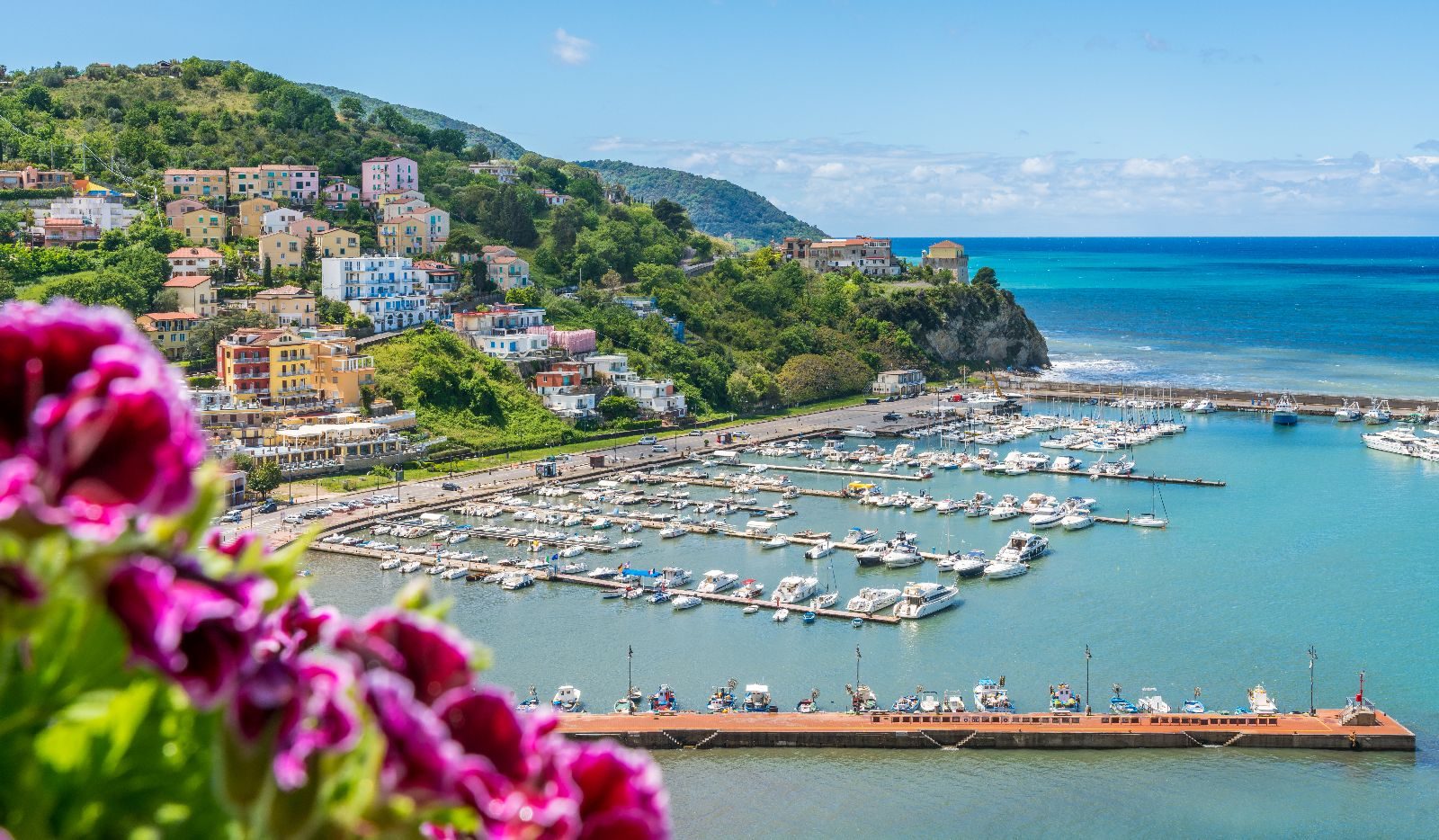 Porto di Agropoli con barche e fiori - costa del Cilento